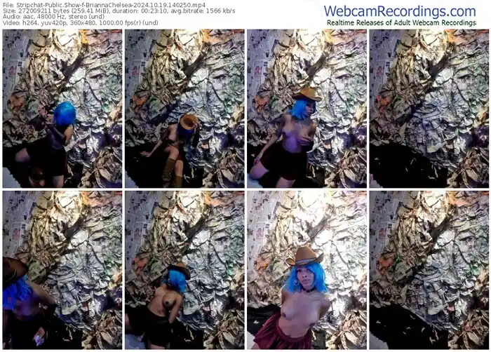 2024/10/19/stripchat-briannachelsea-14-02-50