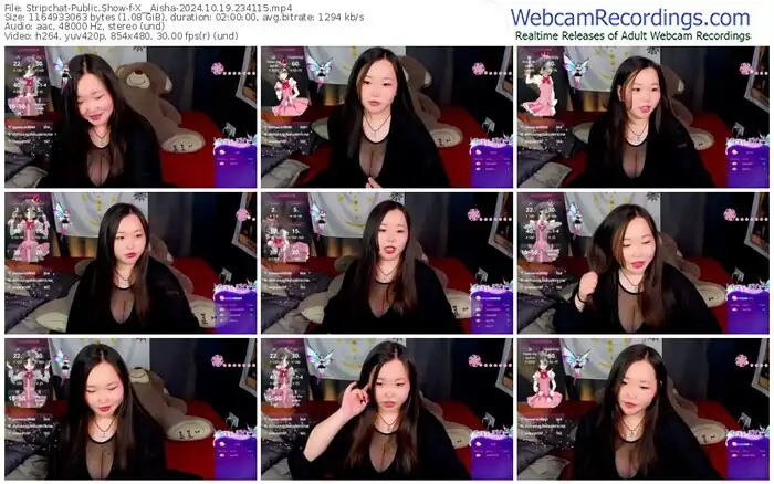 2024/10/19/stripchat-x__aisha-23-41-15