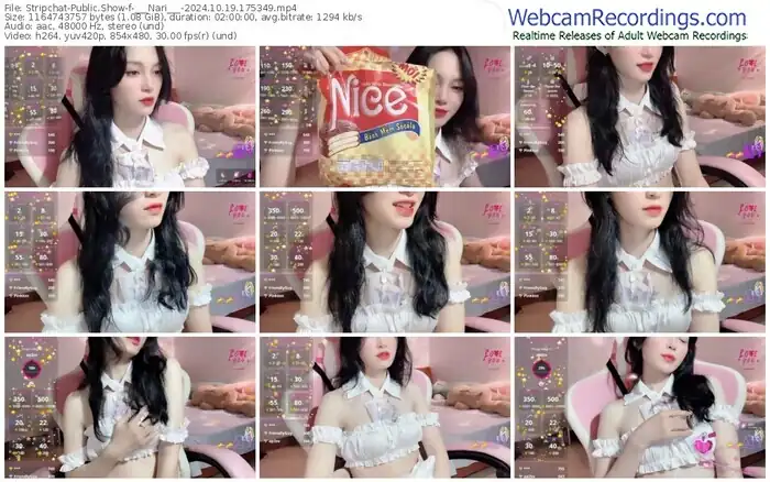 2024/10/19/stripchat-___nari___-17-53-49