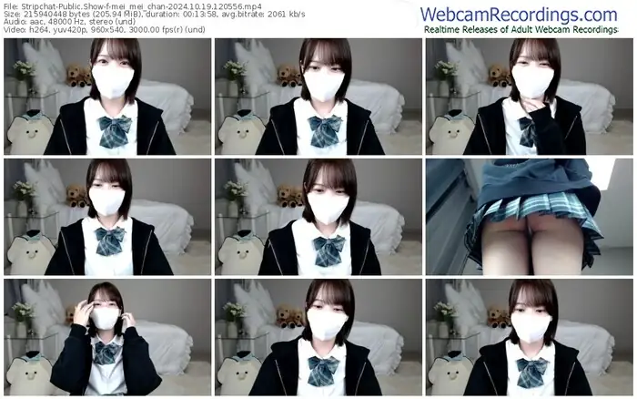 2024/10/19/stripchat-mei_mei_chan-12-05-56