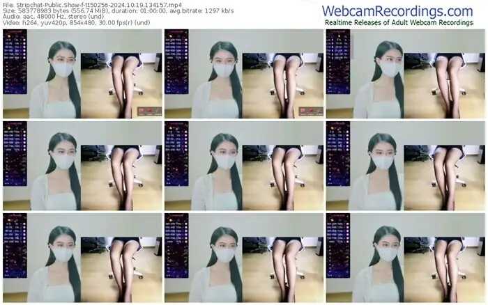 2024/10/19/stripchat-tt50256-13-41-57