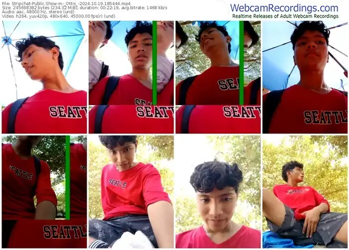 2024/10/19/stripchat-_ottis_-18-54-44