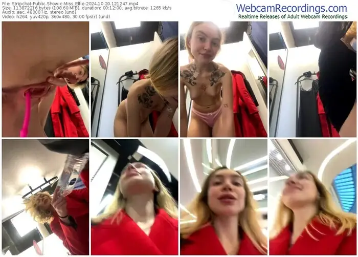 2024/10/20/stripchat-miss_elfie-12-12-47