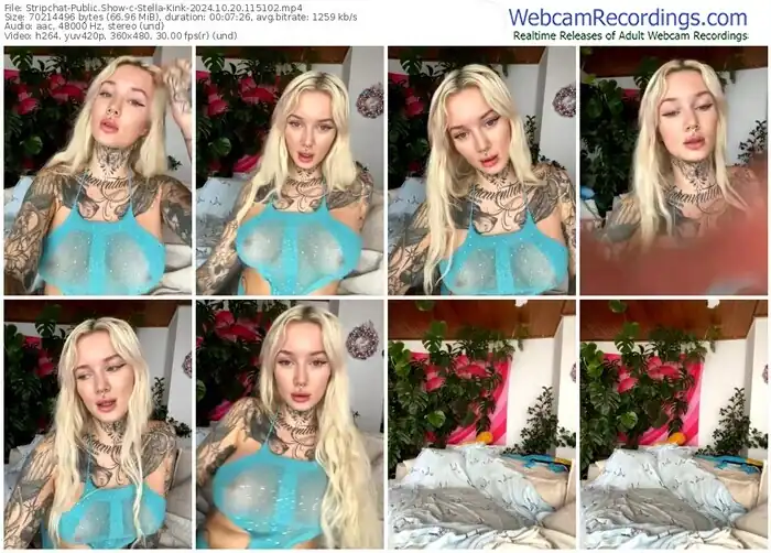2024/10/20/stripchat-stella-kink-11-51-02