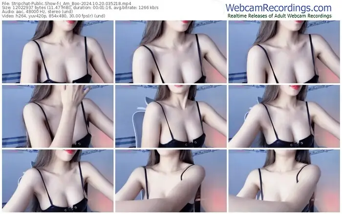 2024/10/20/stripchat-i_am_boo-03-52-18
