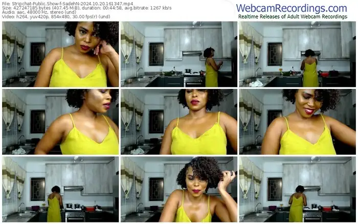 2024/10/20/stripchat-sadehn-16-13-47