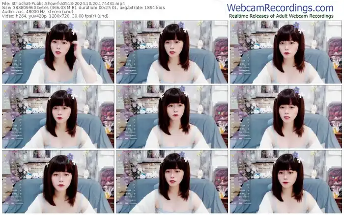 2024/10/20/stripchat-a0513-17-44-31