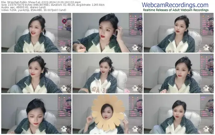 2024/10/20/stripchat-a1-2222-19-11-32