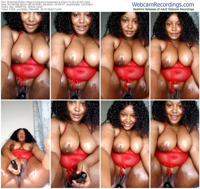 2024/10/20/stripchat-sidechick-experience-10-13-07