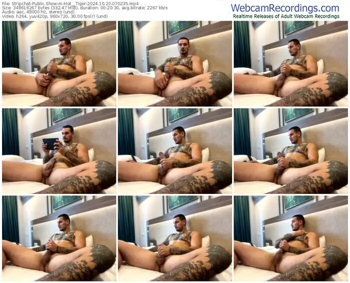 2024/10/20/stripchat-hot__tiger-07-02-35