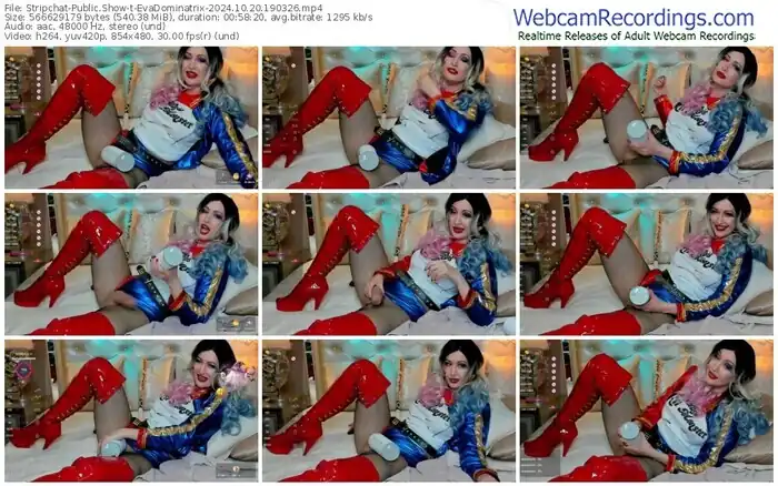 2024/10/20/stripchat-evadominatrix-19-03-26