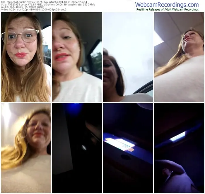 2024/10/21/stripchat-s1nfullypurrfuct-00-34-37