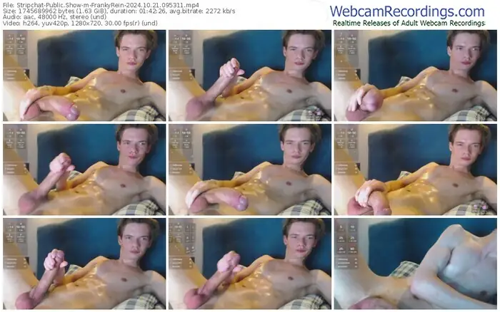 2024/10/21/stripchat-frankyrein-09-53-11