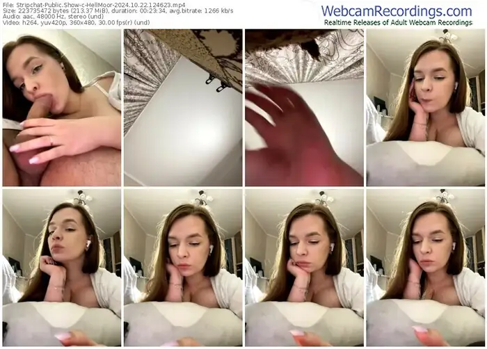 2024/10/22/stripchat-hellmoor-12-46-23