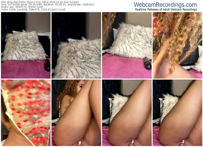2024/10/22/stripchat-tiny_1803-00-47-22
