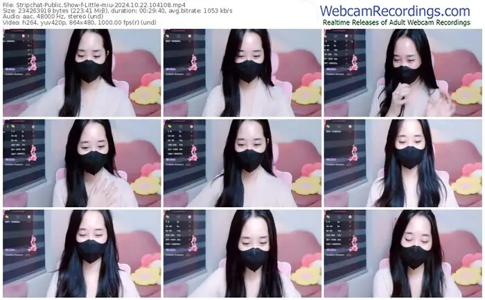 2024/10/22/stripchat-little-miu-10-41-08
