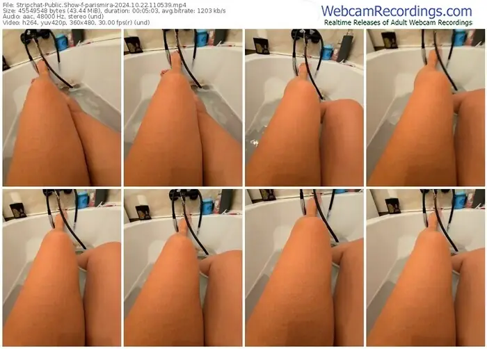 2024/10/22/stripchat-parismira-11-05-39