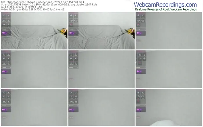 2024/10/22/stripchat-u_needed_me_-15-47-28