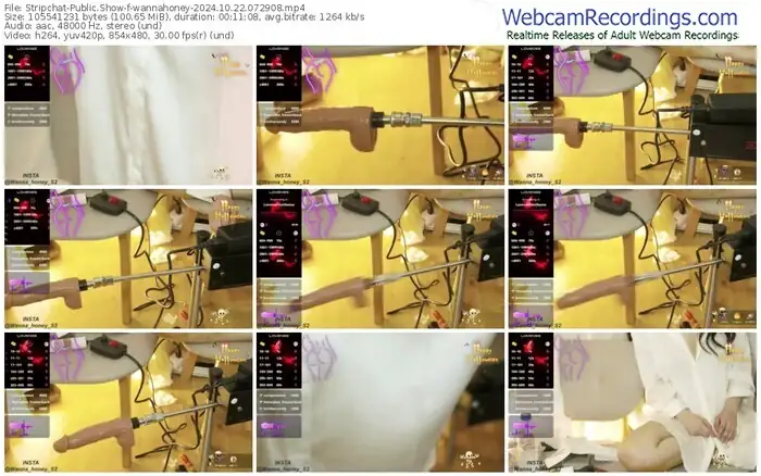 2024/10/22/stripchat-wannahoney-07-29-08