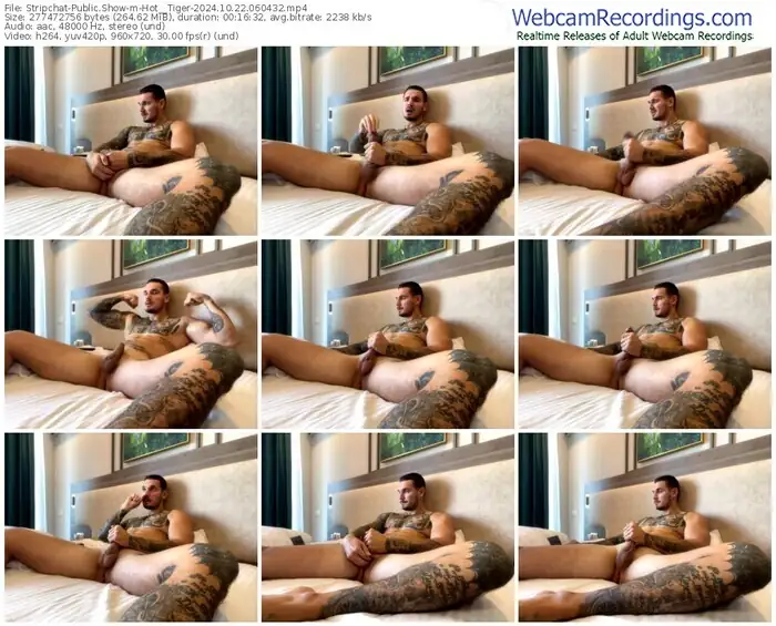 2024/10/22/stripchat-hot__tiger-06-04-32