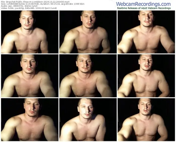 2024/10/22/stripchat-lionedwin-20-04-30