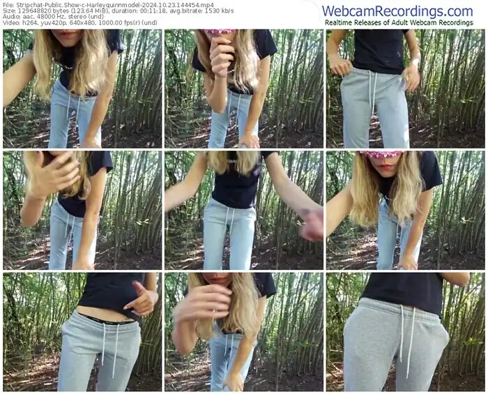 2024/10/23/stripchat-harleyquinnmodel-14-44-54