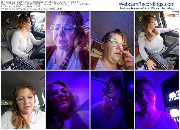 2024/10/23/stripchat-s1nfullypurrfuct-18-17-28