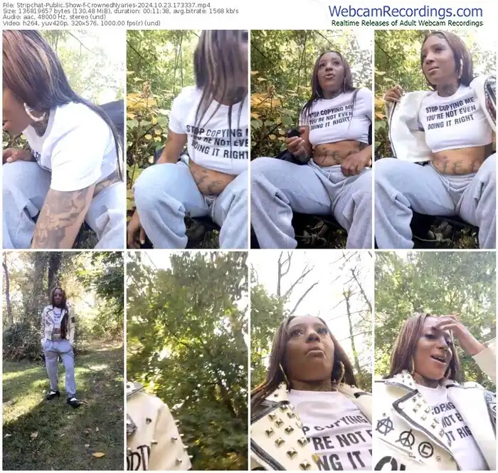 2024/10/23/stripchat-crownednyaries-17-33-37