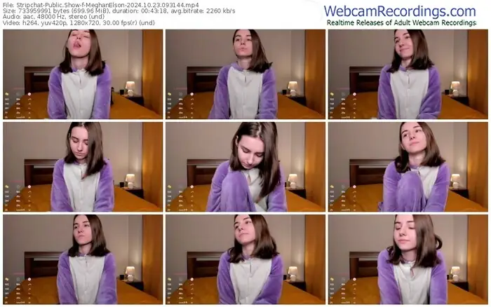 2024/10/23/stripchat-meghanelson-09-31-44