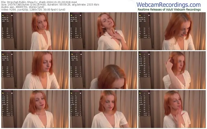 2024/10/23/stripchat-c_shark-23-19-18