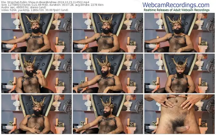 2024/10/23/stripchat-beardandrew-11-45-02