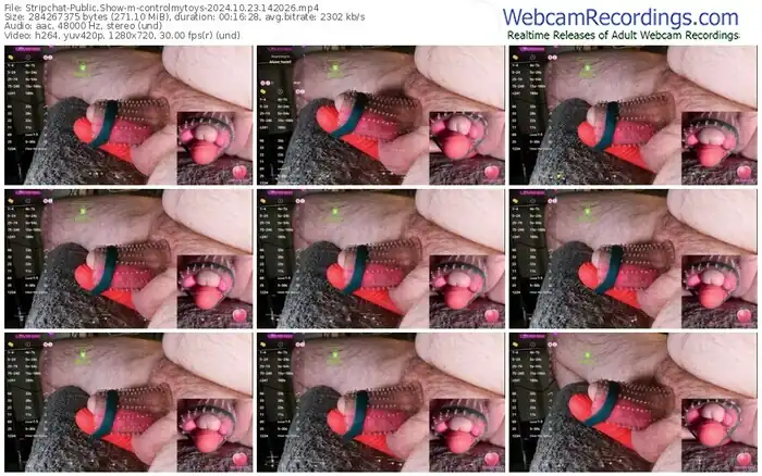 2024/10/23/stripchat-controlmytoys-14-20-26