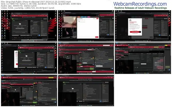 2024/10/23/stripchat-davosar1307-21-09-32