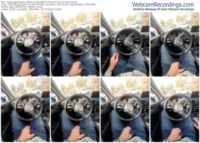 2024/10/23/stripchat-jk1981jk-11-11-02