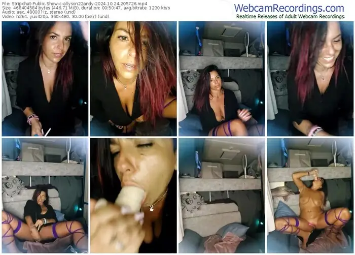 2024/10/24/stripchat-allyson22andy-20-57-26