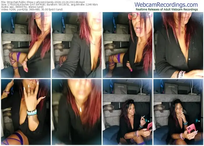 2024/10/24/stripchat-allyson22andy-23-11-49