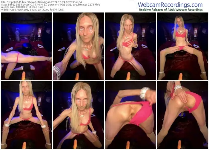 2024/10/24/stripchat-1nikivegas-05-23-35