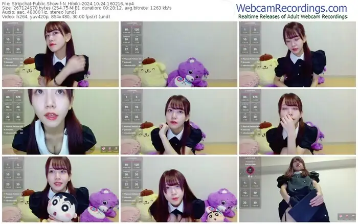 2024/10/24/stripchat-n_hibiki-16-02-16