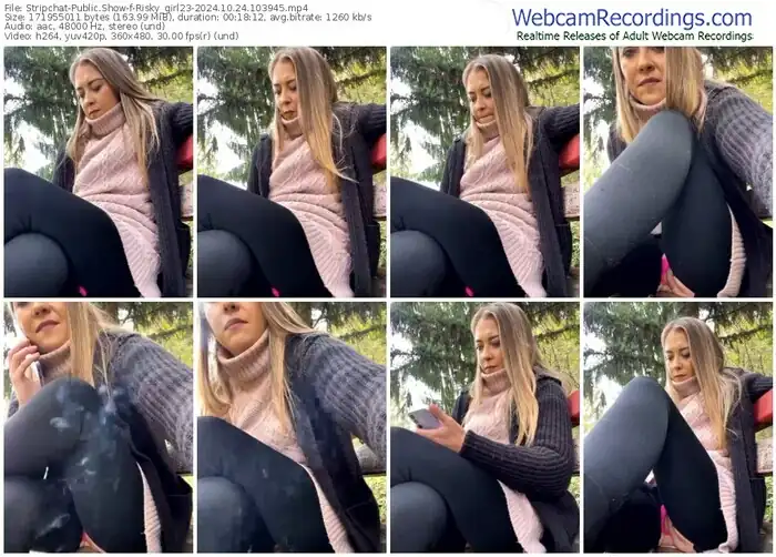 2024/10/24/stripchat-risky_girl23-10-39-45