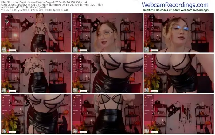 2024/10/24/stripchat-vortexproject-15-49-31