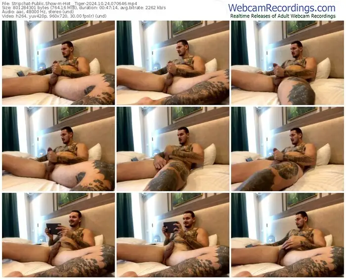 2024/10/24/stripchat-hot__tiger-07-06-46