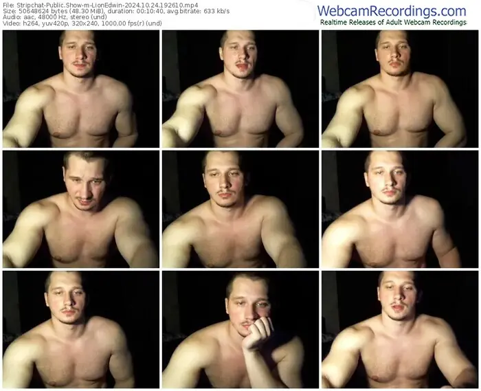 2024/10/24/stripchat-lionedwin-19-26-10