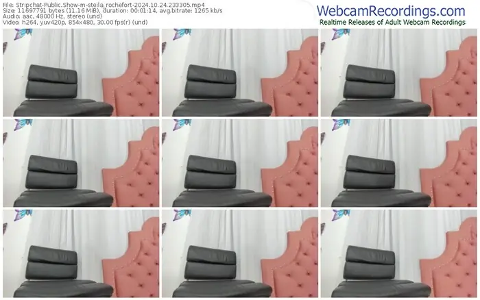 2024/10/24/stripchat-steila_rochefort-23-33-05