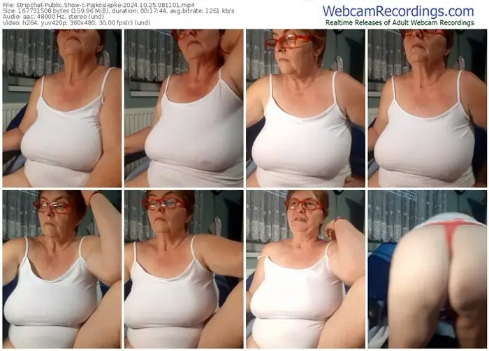 2024/10/25/stripchat-pajkoslepke-08-11-01