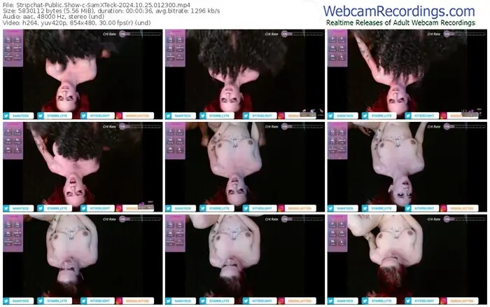 2024/10/25/stripchat-samxteck-01-23-00