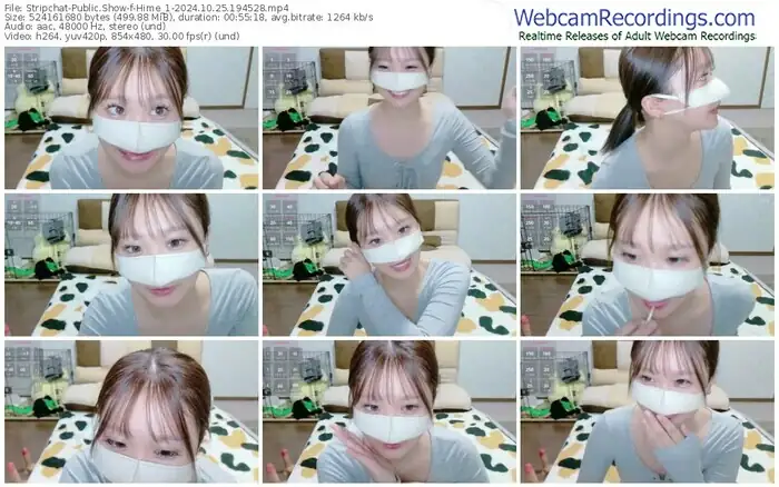 2024/10/25/stripchat-hime_1-19-45-28