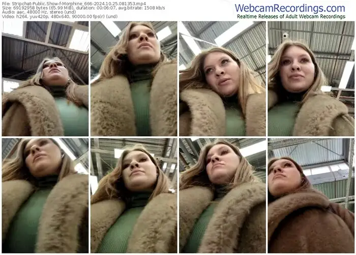 2024/10/25/stripchat-morphine_666-08-13-53