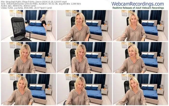 2024/10/25/stripchat-sinty_devis-12-00-07