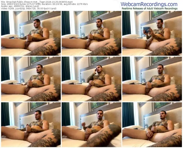 2024/10/25/stripchat-hot__tiger-06-36-55