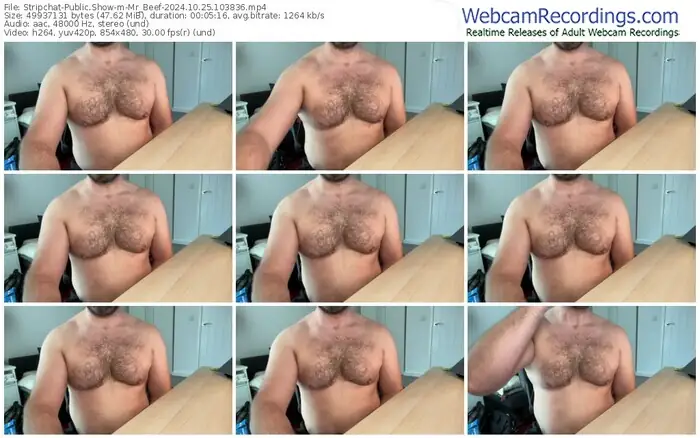 2024/10/25/stripchat-mr_beef-10-38-36